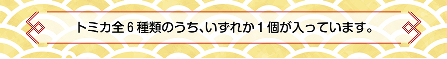 トミカ全６種類のうち、いずれか１個が入っています。