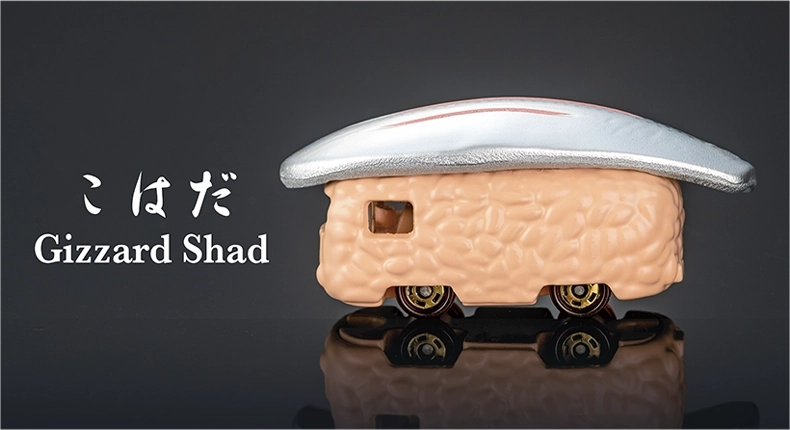 こはだ｜Gizzard Shad
