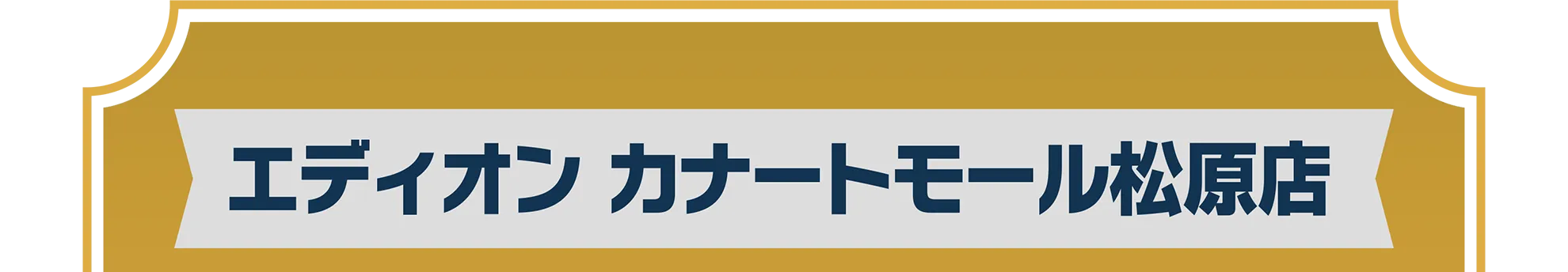 エディオン カナートモール松原店