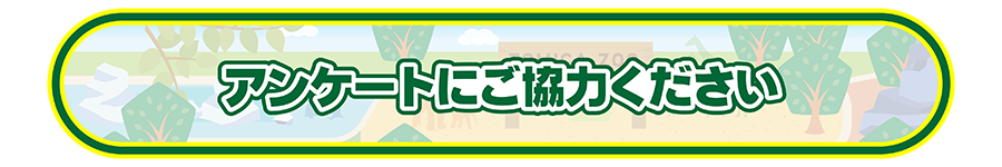 アンケートにご協力ください