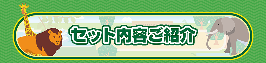 セット内容ご紹介