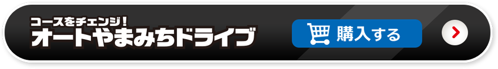オートやまみちドライブを購入する