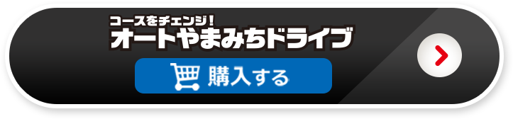 オートやまみちドライブを購入する