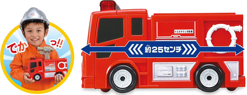 約25センチ
