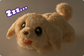 Zzz...