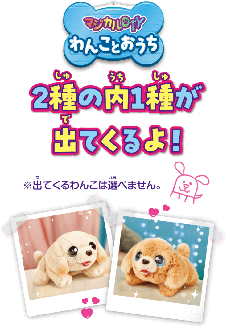 2種の内1種が出てくるよ！※出てくるわんこは選べません。