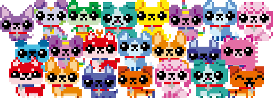 わんだーはうす