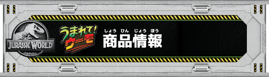 商品情報
