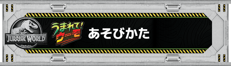 あそびかた