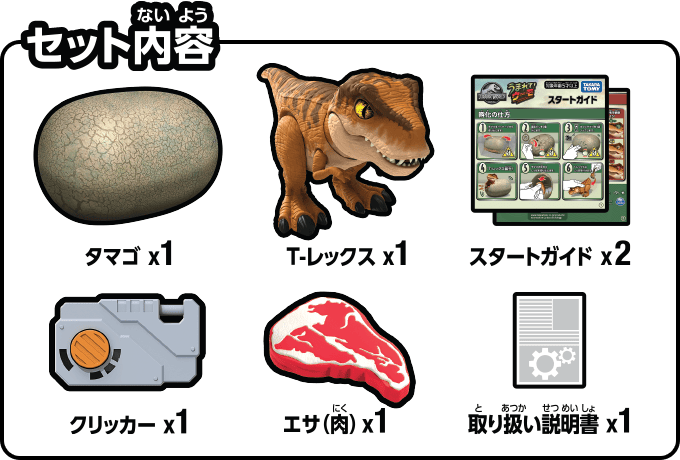 セット内容