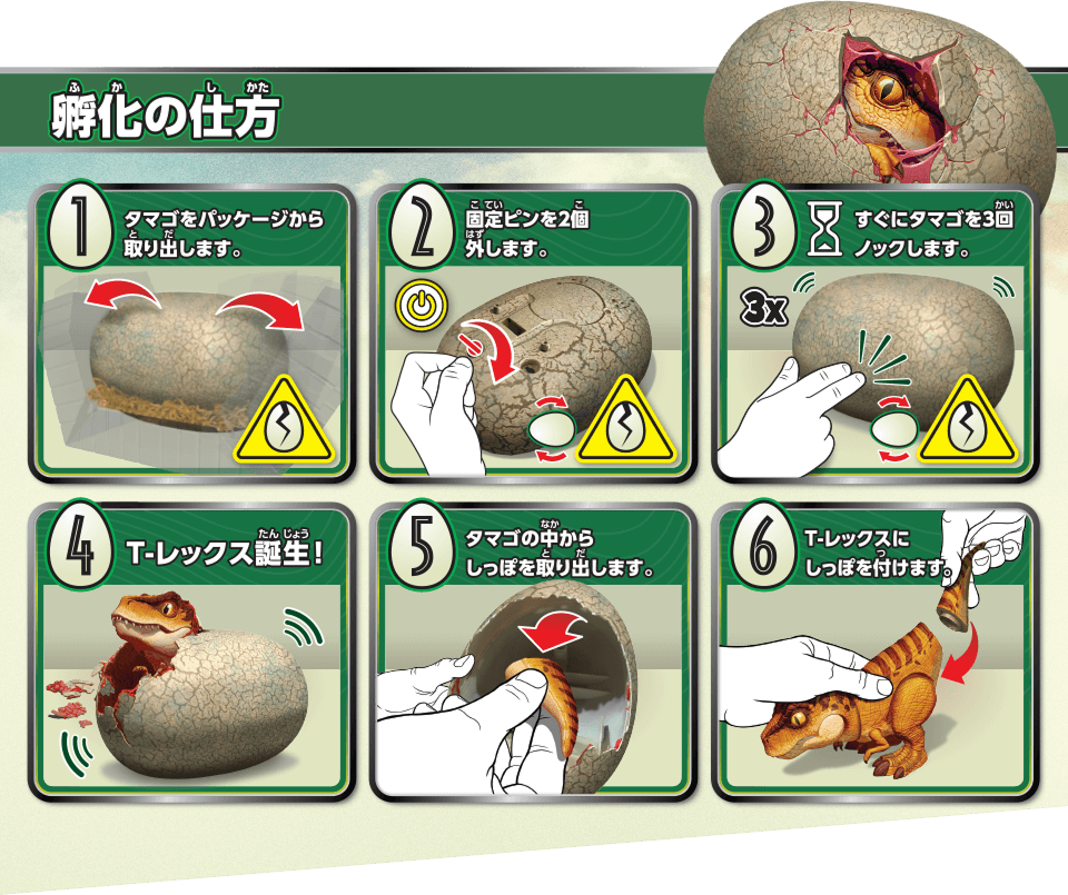 孵化の仕方