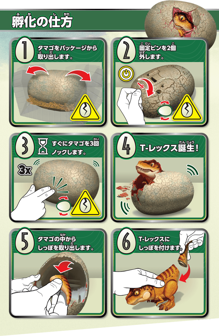 孵化の仕方