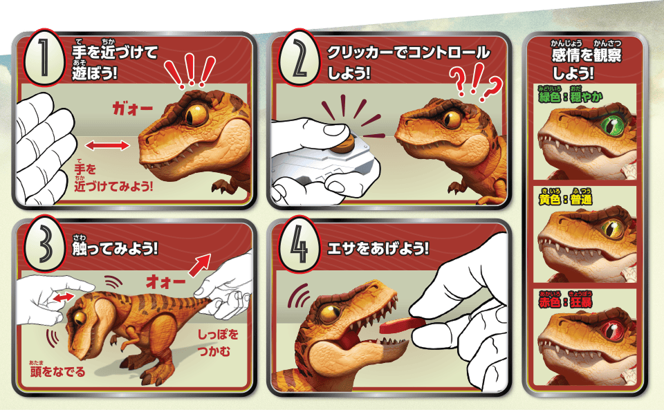 1.手を近づけて遊ぼう！2.クリッカーでコントロールしよう！3.触ってみよう！4.エサをあげよう！感情を観察しよう！