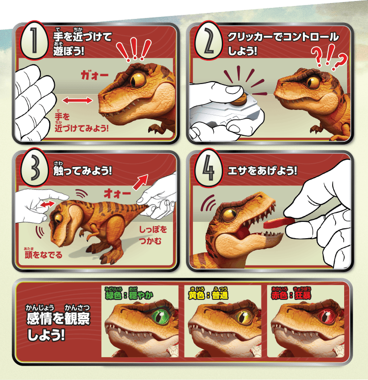 1.手を近づけて遊ぼう！2.クリッカーでコントロールしよう！3.触ってみよう！4.エサをあげよう！感情を観察しよう！