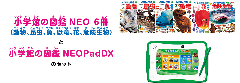 小学館の図鑑NEO 6冊（動物、昆虫、魚、恐竜、花、危険生物）と小学館の図鑑NEOPadDXのセット