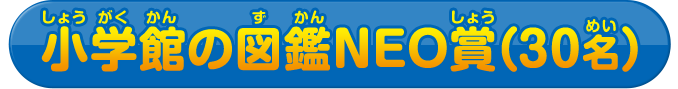 小学館の図鑑NEO賞（30名）