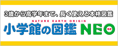 3歳から高学年まで、長く使える本格図鑑 小学館の図鑑NEO