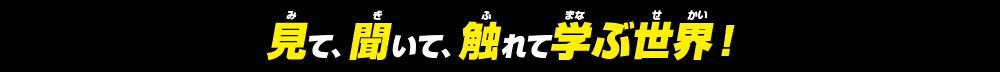 見て、聞いて、触れて学ぶ世界！