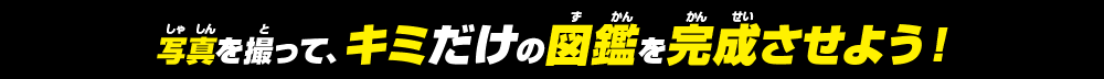 写真を撮って、キミだけの図鑑を完成させよう！