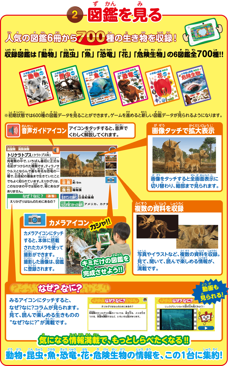 2　図鑑をみる