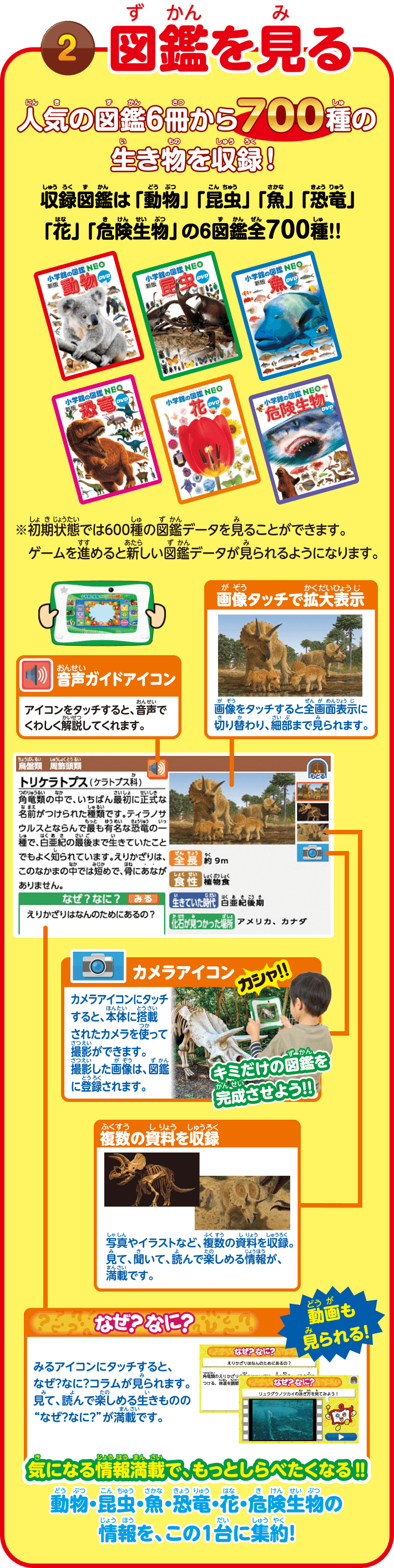 2　図鑑をみる