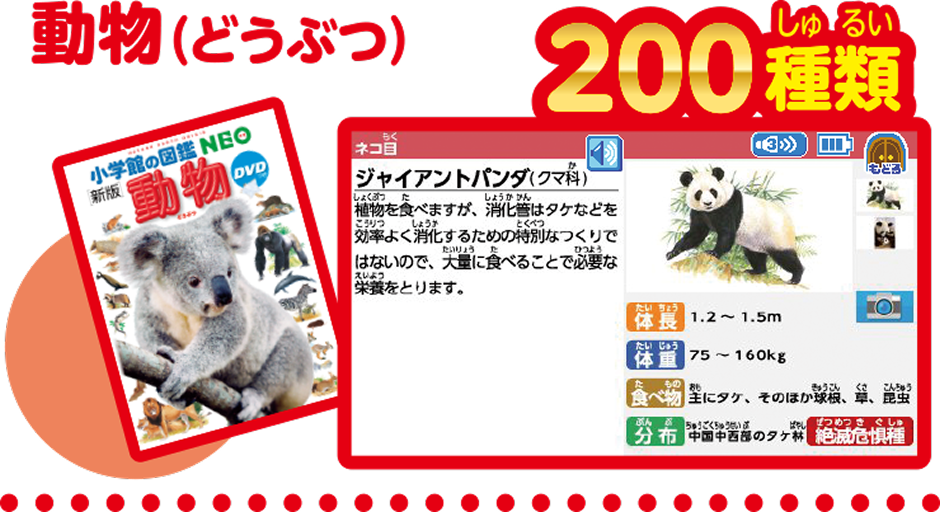 動物（どうぶつ） 200種類