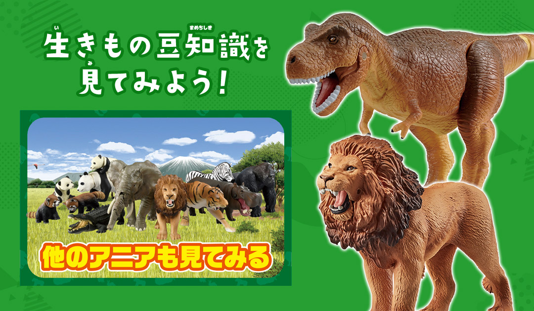 生きもの豆知識を見てみよう！